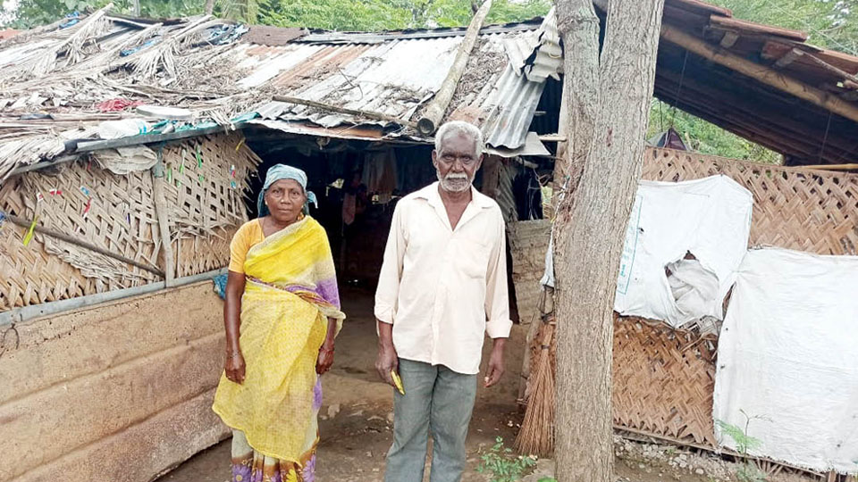 Kabini flood victims in the lurch