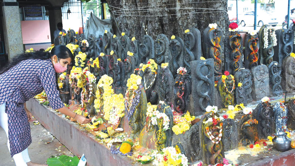 Devotees flock temples as part of Naga Panchami celebrations