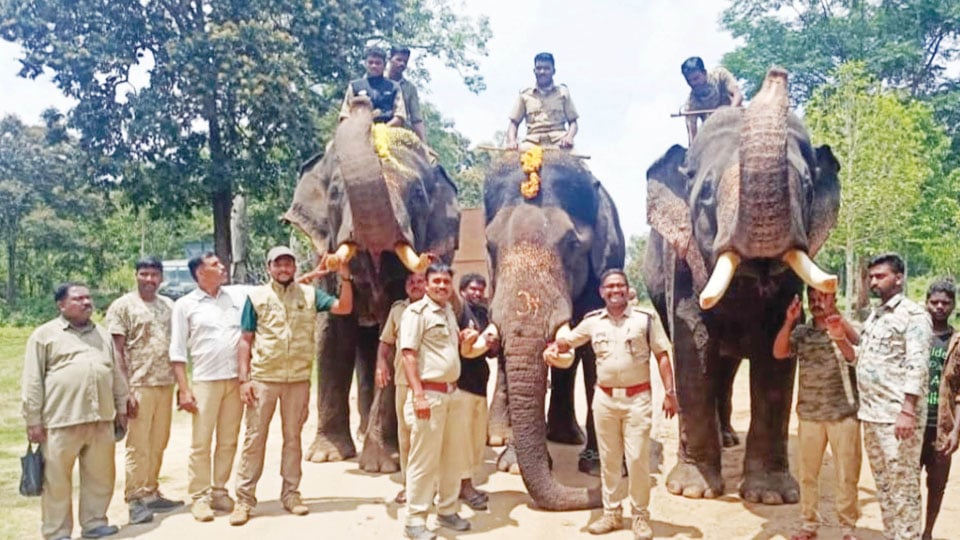 Kavadi suffers fracture in wild elephant attack