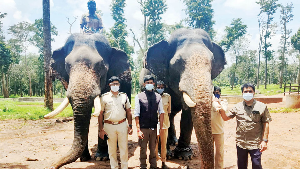 Temporary list of 14 elephants prepared for Dasara