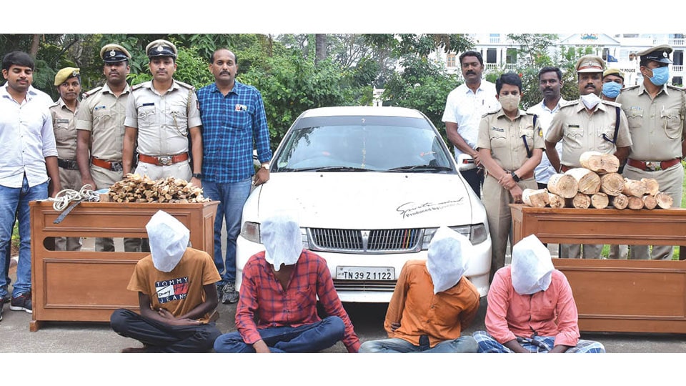 One arrested was out on bail for sandalwood theft