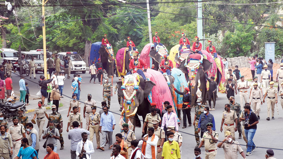 Elephantine issue: How will jumbos cope on busy roads ?