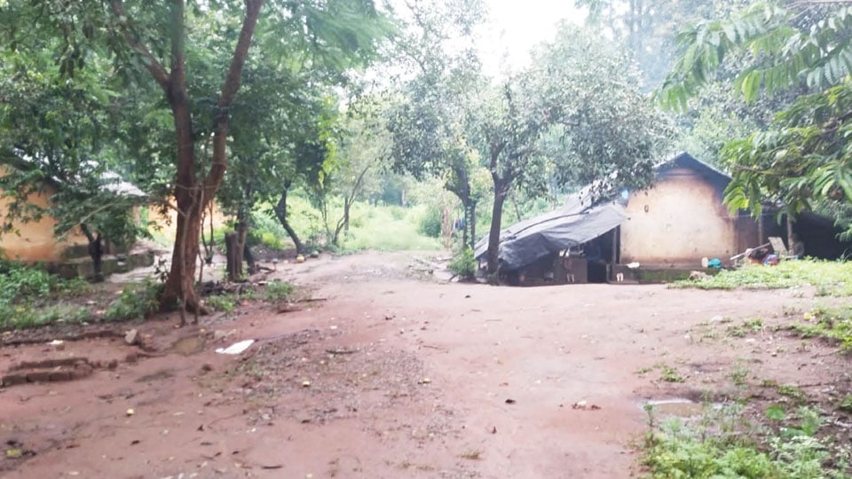 Nagarahole tribals refuse to resettle outside hamlets