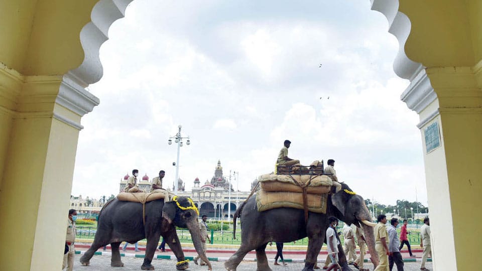 Jumbo march outside Palace: Dasara Committee to decide