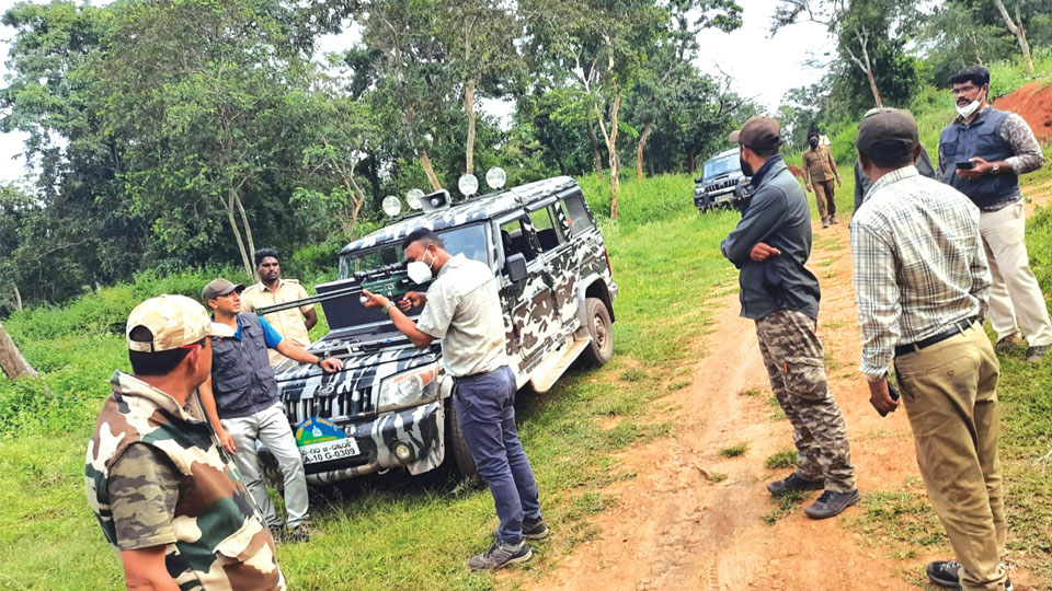 All efforts on to trap elusive tiger