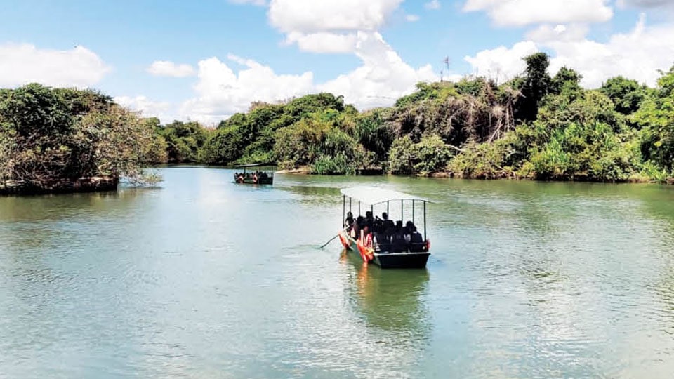 Ranganathittu boat rides attract tourists; not many prefer KRS Dam