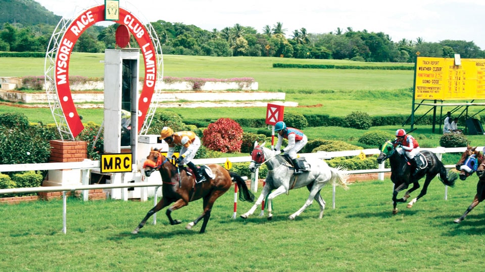 Mysore Race Club resumes racing after seven months