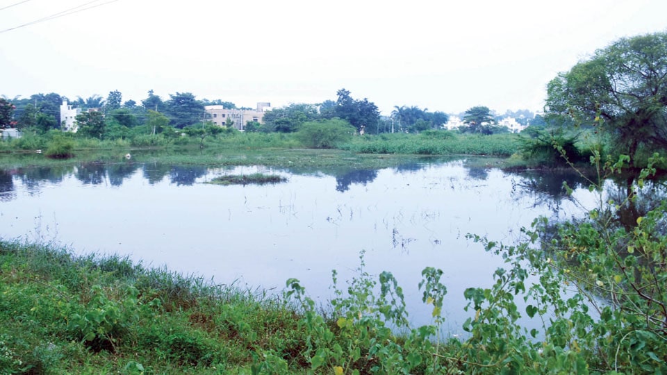 MCC launches Rajakaluve Encroachment Clearance Drive from Bogadi Lake