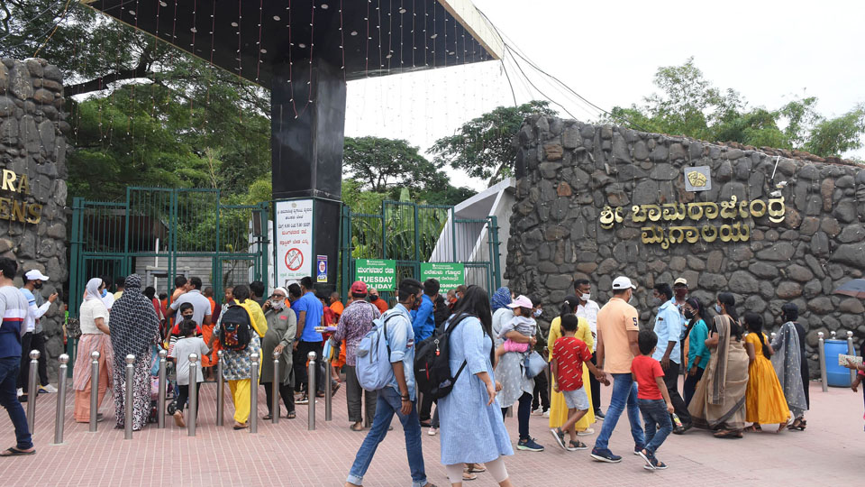 75,000 tourists visit Mysuru Zoo during Dasara fest