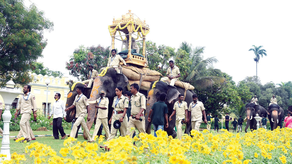 Abhimanyu carries wooden Ambari