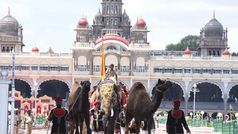 Private Durbar begins at Mysore Palace
