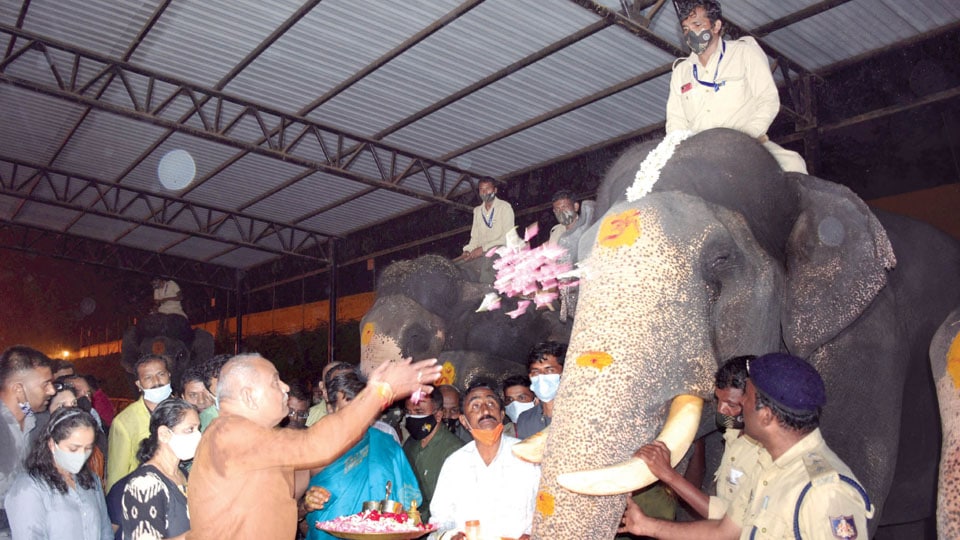 Forest Minister offers puja to Dasara jumbos