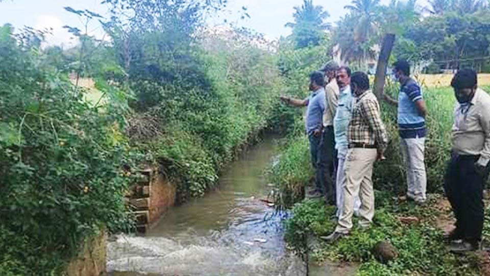 MP Pratap Simha writes to DC on clearing Raja Kaluve and Lake encroachments