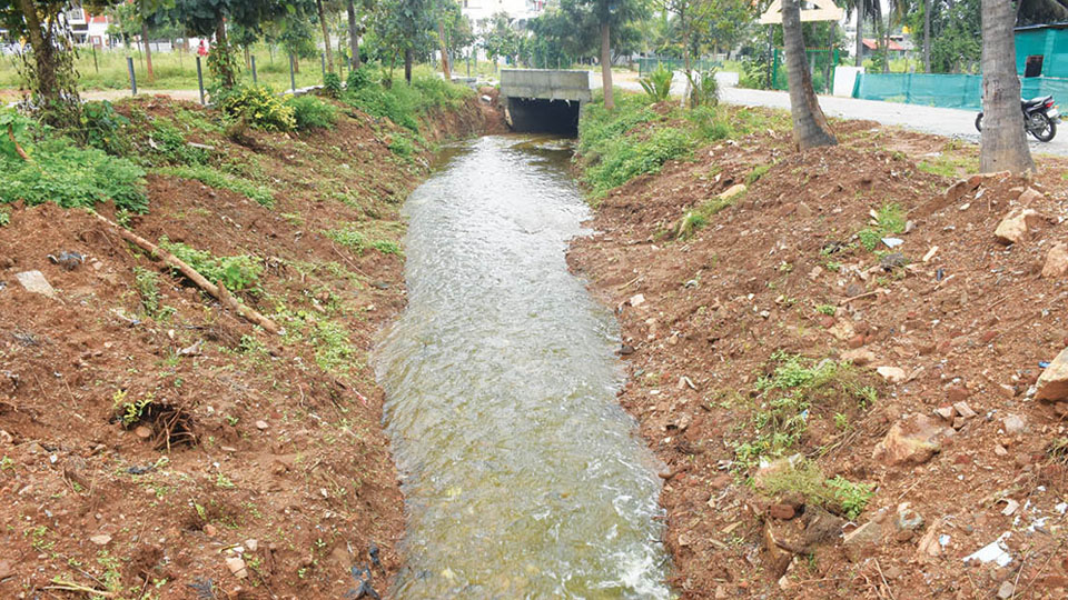 Lingambudhi Lake bund dug up to drain excess water: MUDA acted under pressure from encroachers Villagers