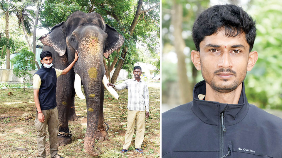 Behind the scenes with Dasara elephant doctor