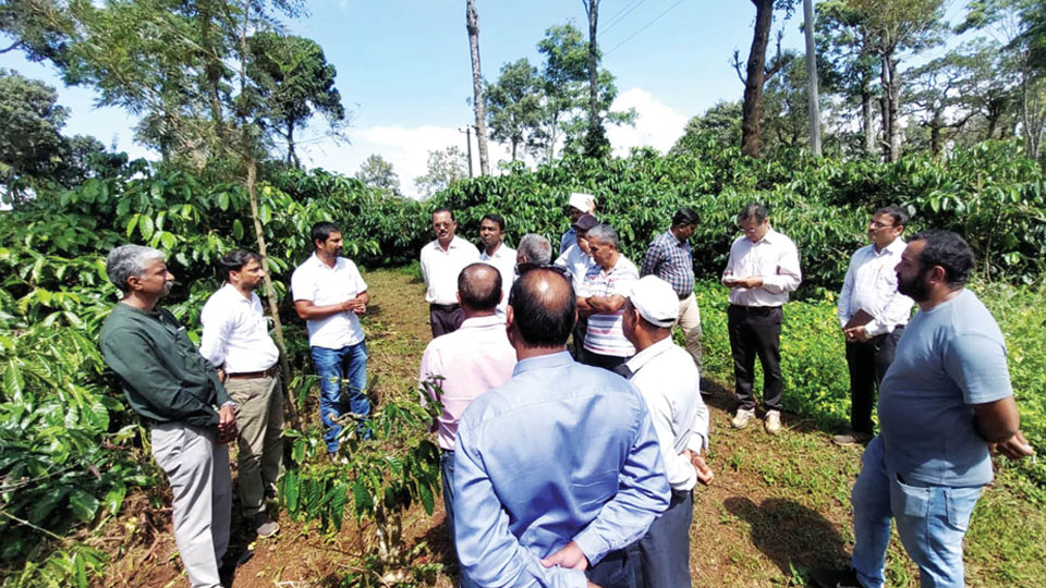 Growers will get crop loss relief: Coffee Board CEO 33 percent loss estimated; Interim report to be submitted to Government