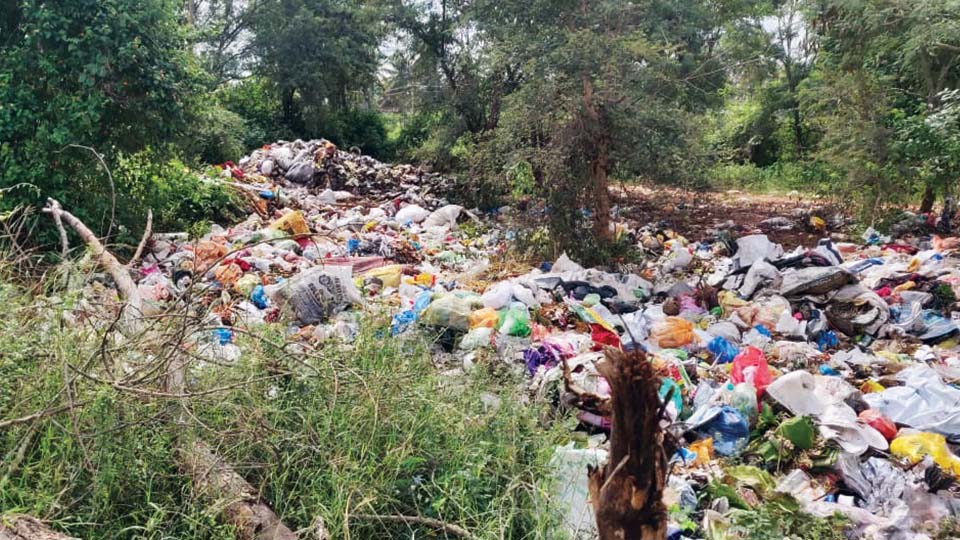 Bad roads, garbage dumping worries residents of Dattagalli, Srirampura
