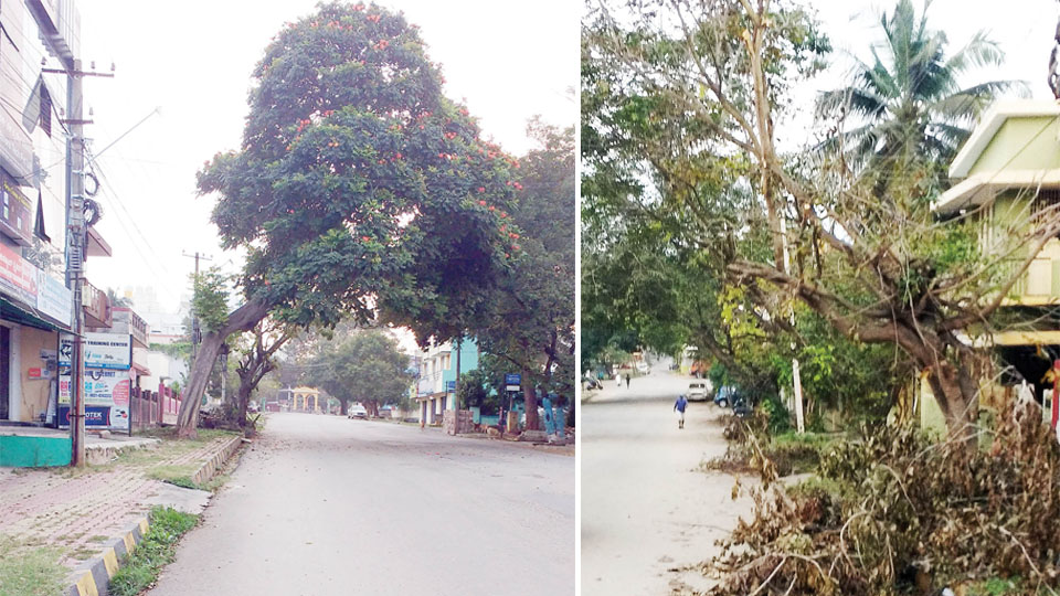 Tree pruning: Need for coordination between CESC and MCC
