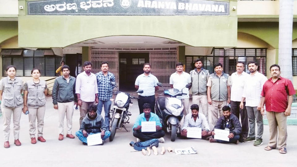 Four inter-State ivory smugglers arrested: All from Chamarajanagar, TN