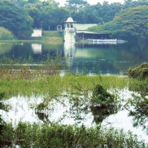 INTACH is right agency for conservation of Kukkarahalli Lake