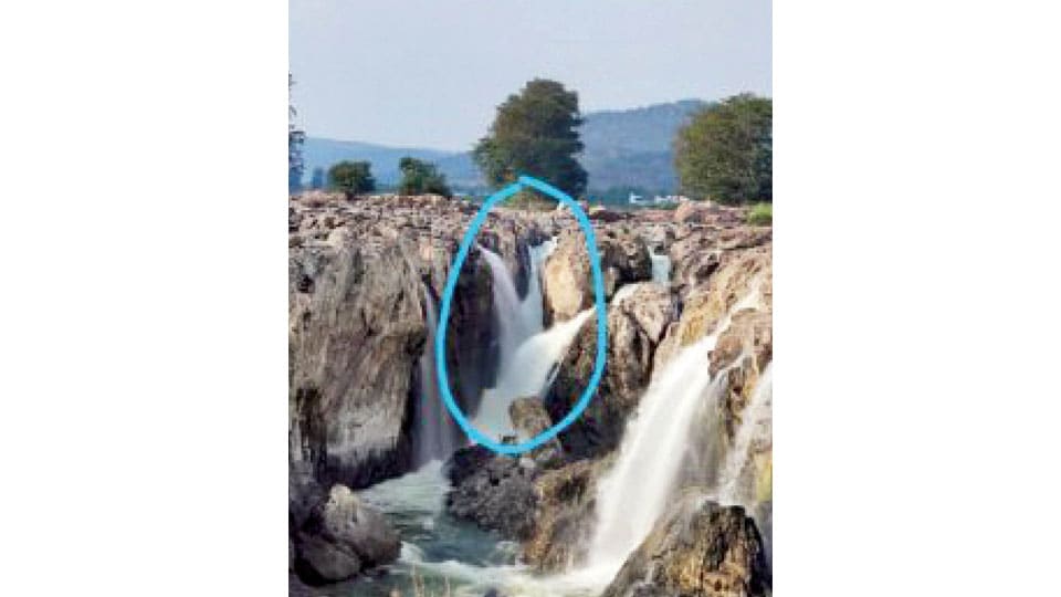 Youth drowns in Hogenakkal Falls while clicking selfies