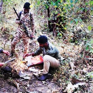 Tiger counting begins in Bandipur