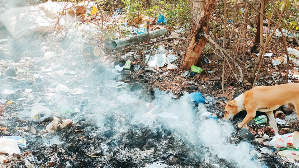 Garbage mismanagement in Ramakrishnanagar