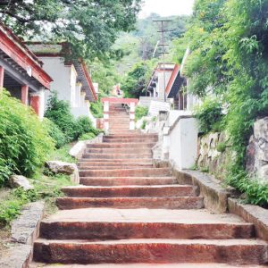 Bamboo hand railings for Hill steps?