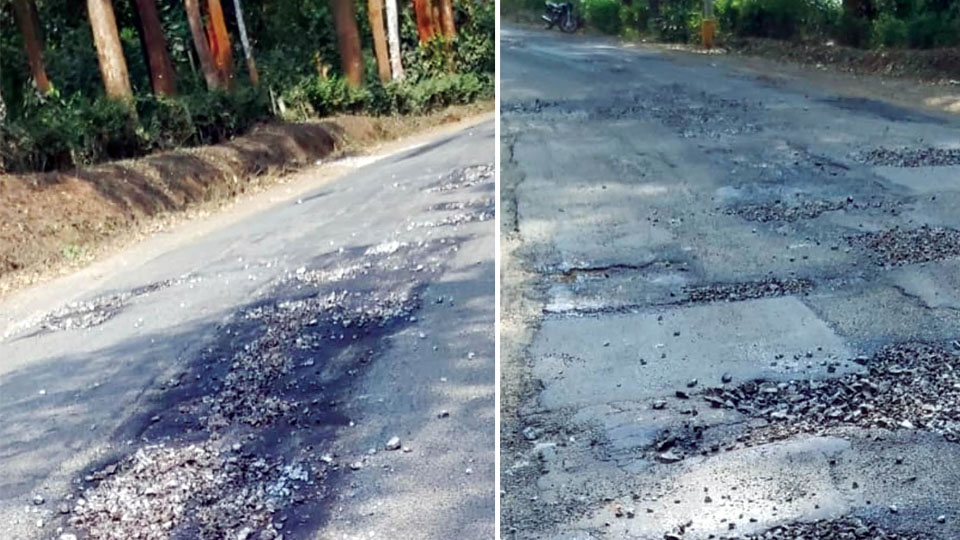 Bad roads: Kodagu senior citizens petition CM