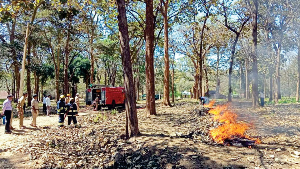 Fire drill demonstration held for Forest staff at Nagarahole