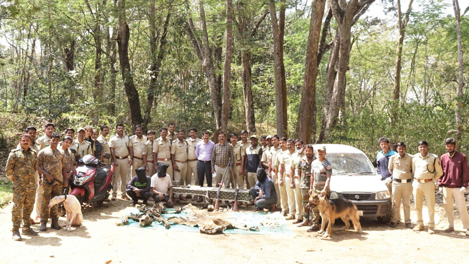 Forest officials solve tiger poaching case in Kodagu