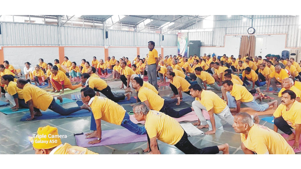 Mahashivarathri: Yoga enthusiasts perform Mass Shiva Namaskara