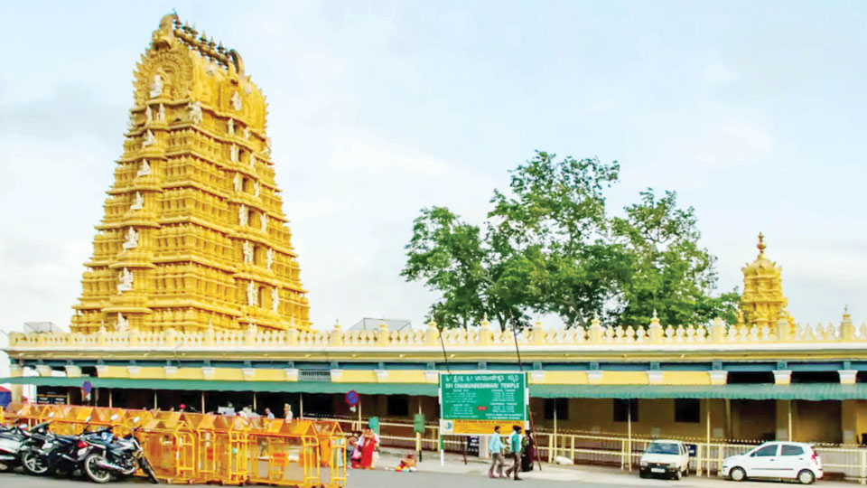 Tale of a Hill called Chamundi in Mysuru: My thoughts on Saving the Hill