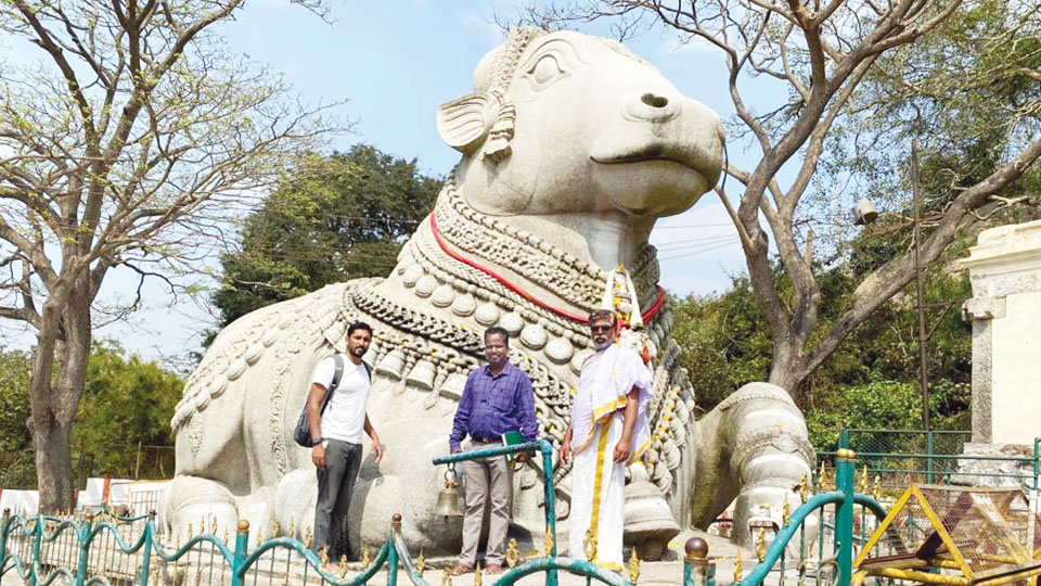 Fissures on Nandi Statue to be fixed with natural proces