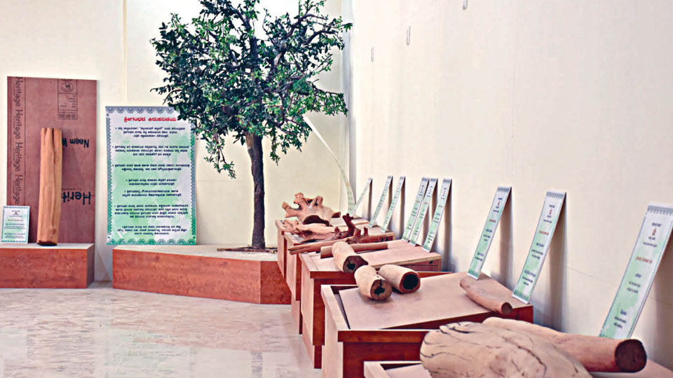 Sandalwood Museum at Aranya Bhavan receives lukewarm response