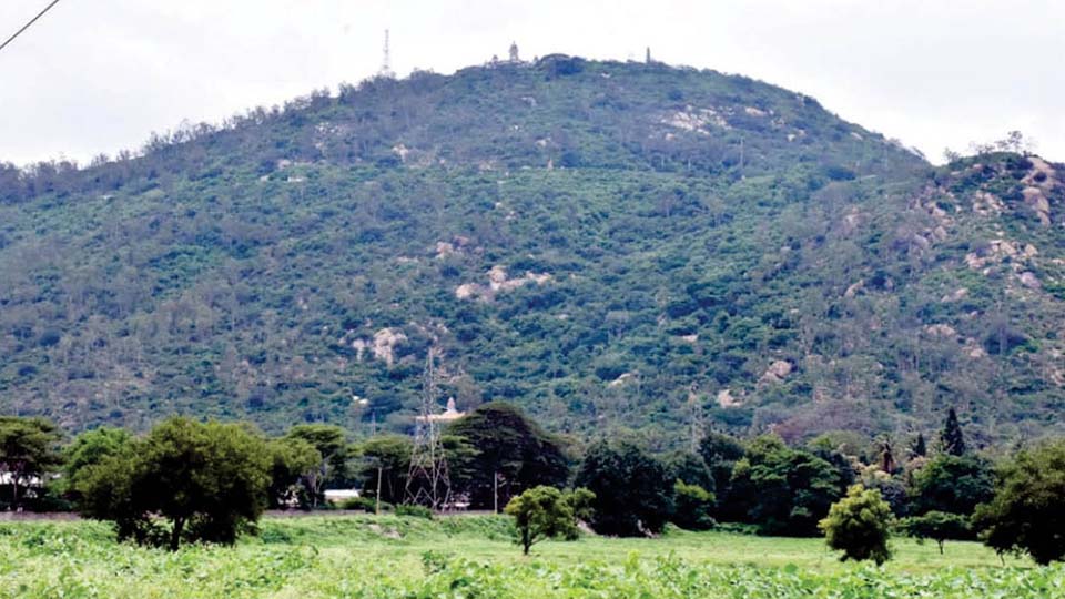 Plea to Save Chamundi Hill