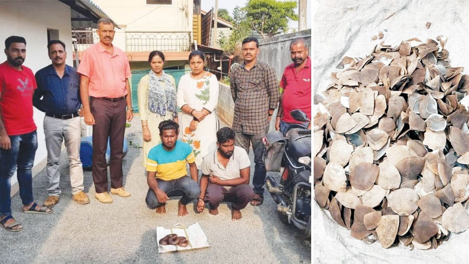 Four arrested for trying to sell Red Sand Boa, Pangolin scales