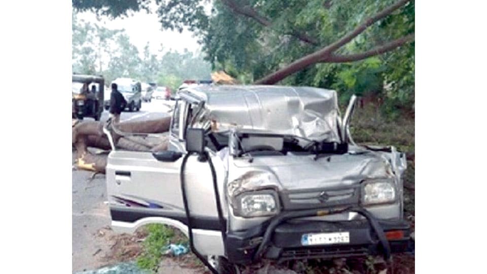 Two killed as tree falls on car near Ramanagara
