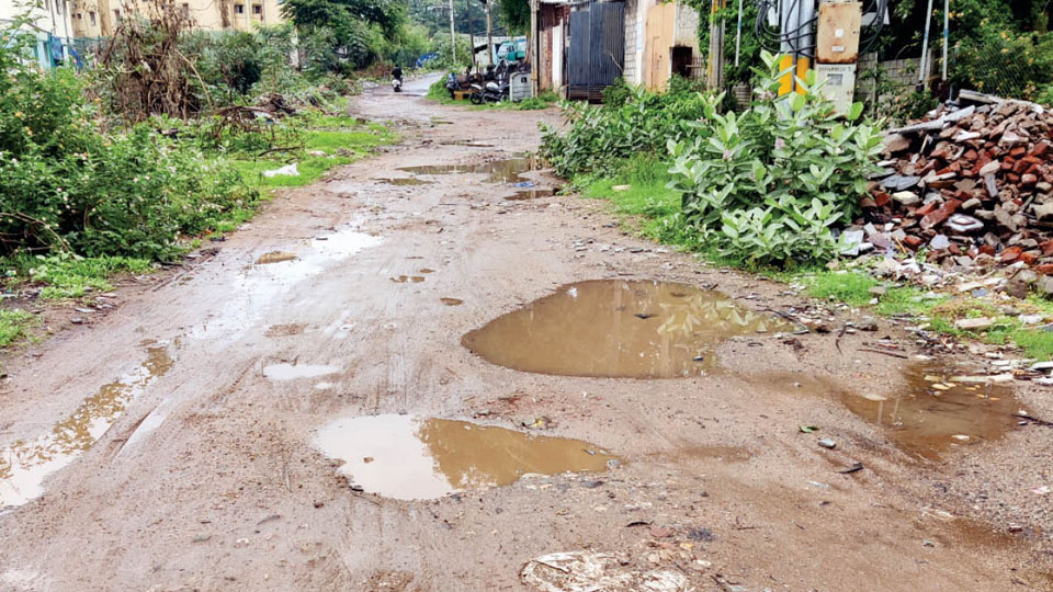 Pathetic condition of city roads
