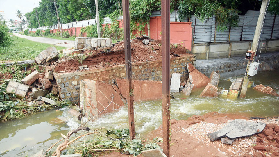 MP, MUDA officials inspect rain-affected areas