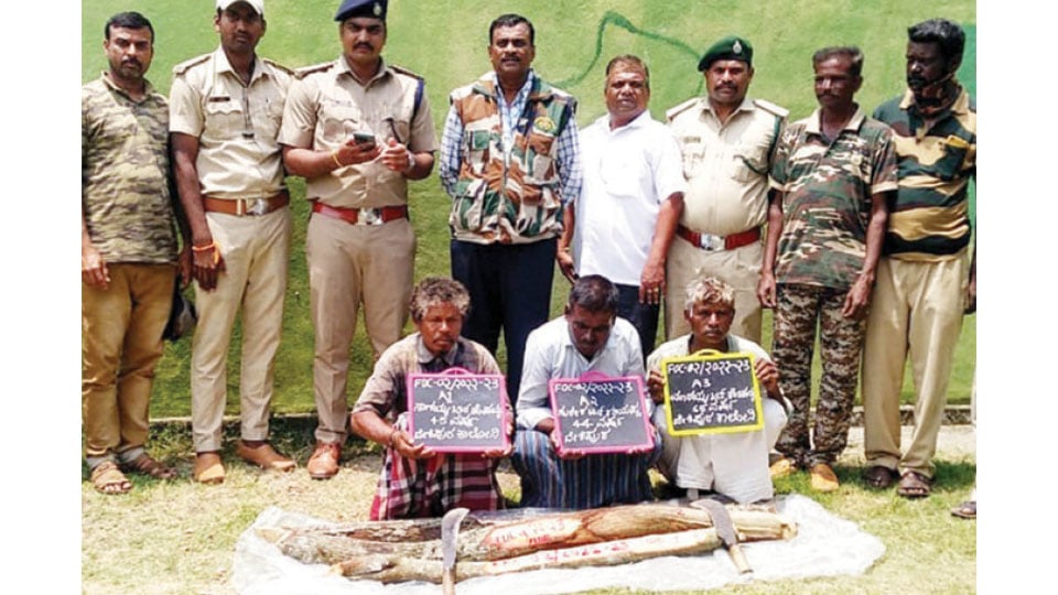 Three arrested for smuggling sandalwood logs