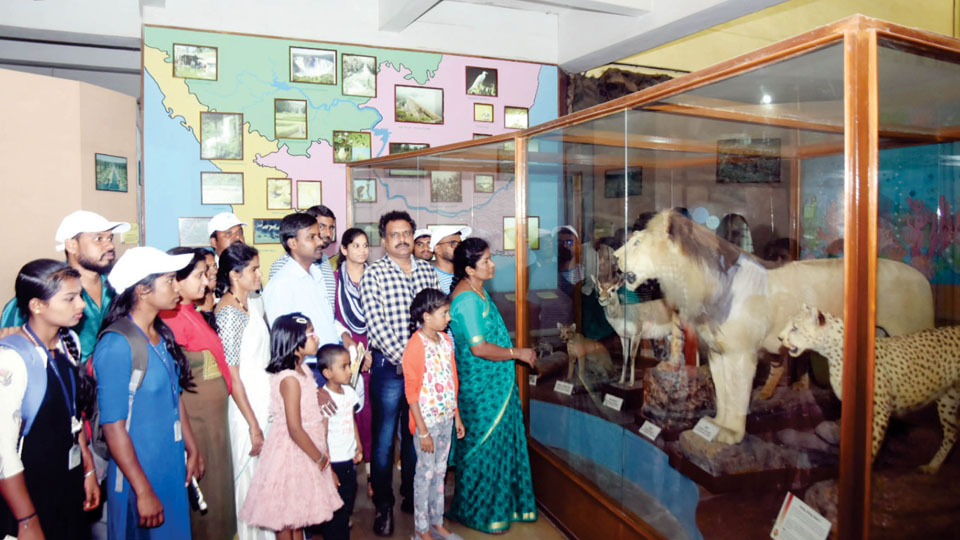 Tour of city museums marks International Museum Day