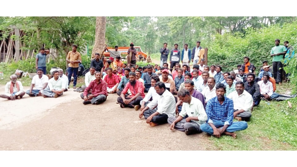 Decades after being displaced, tribals want to go back to forests