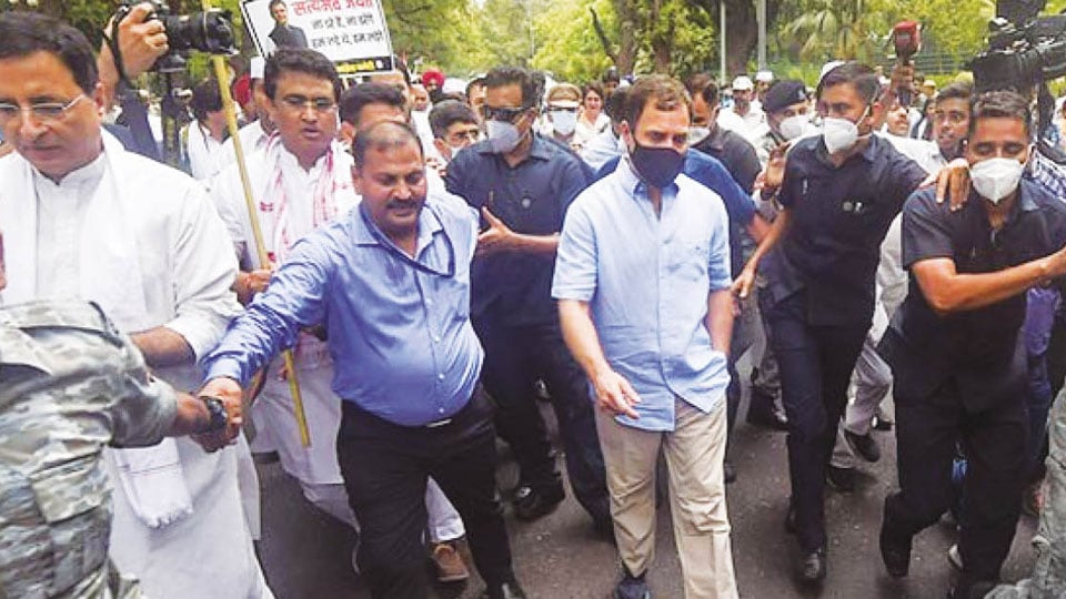National Herald money laundering case: Rahul Gandhi reaches ED Office after protest march