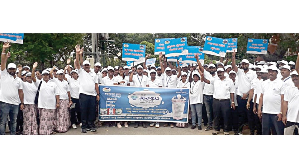 MyMUL takes out rally on World Milk Day