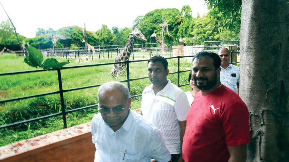 Minister spends morning with Zoo animals