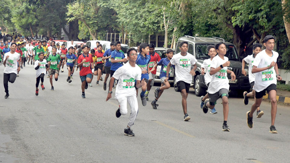 Hundreds participate in BAI Green Marathon