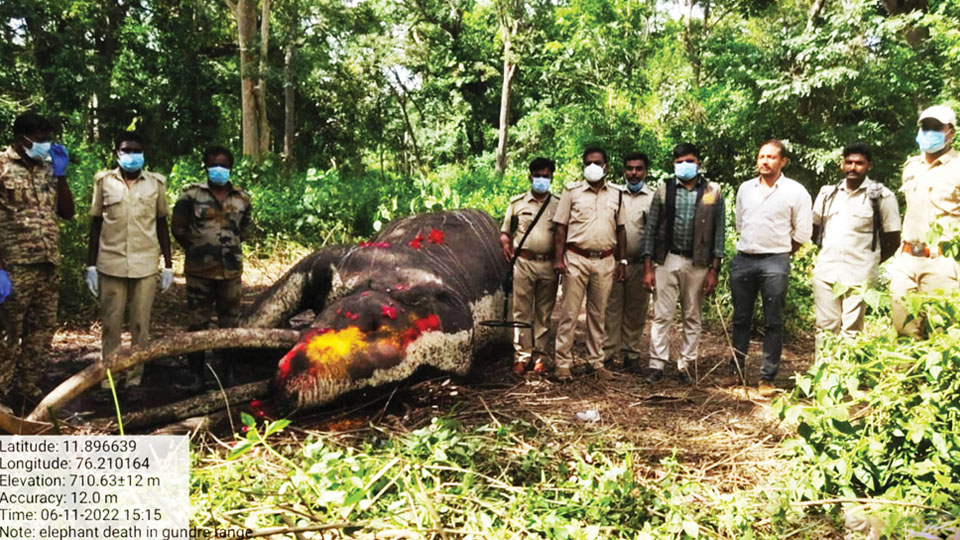 Asia’s longest tusked elephant Bhogeshwara dies
