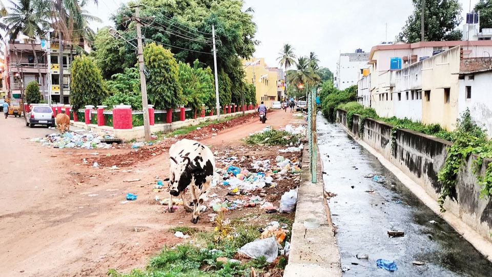 Garbage mismanagement at Vinayakanagar