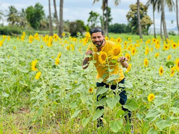 Sunflower Fields Of Gundlupet Turn Selfie Spots For Tourists - Star Of 